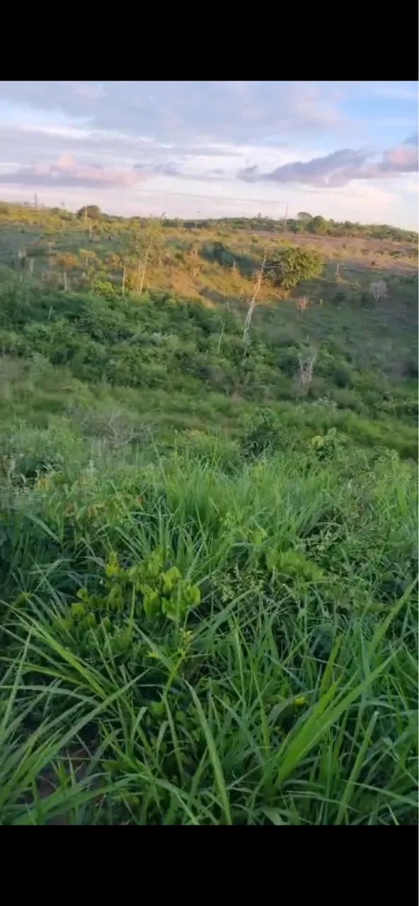 Venda - Foto 3