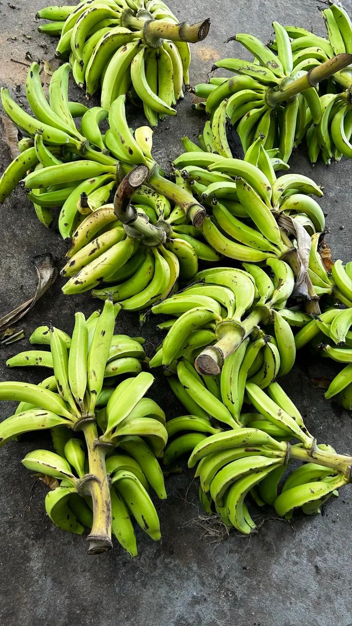 Vendo bananas maçã e pacova 