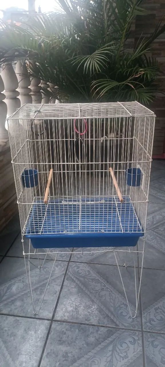 Gaiola Pássaros  - Foto 3