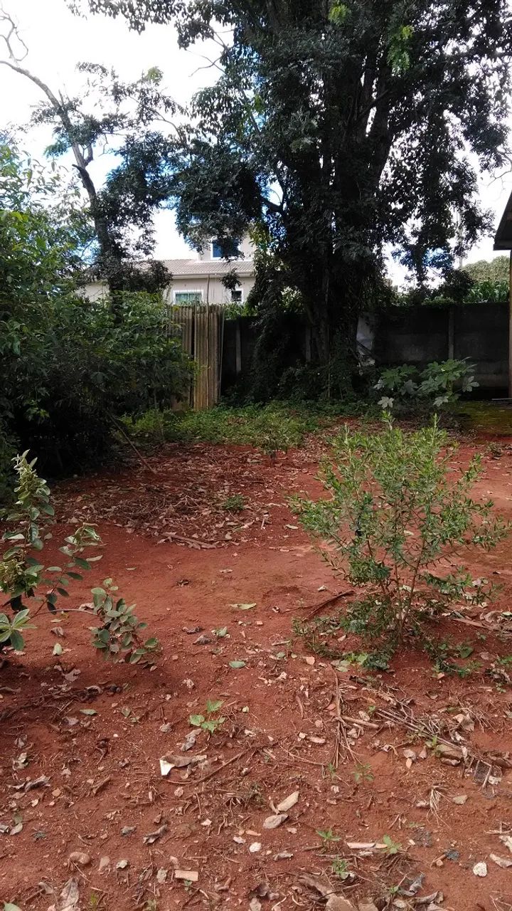 TERRENO EM COROAS - Foto 2