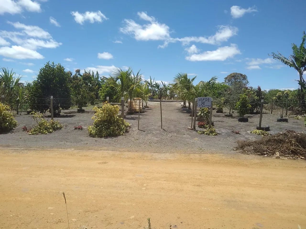 VENDE-SE SITIO - Foto 4