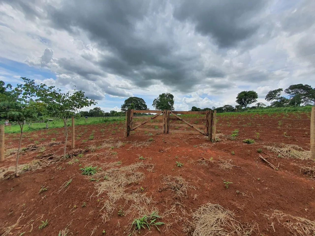 Foto - Goiânia - Setor Central