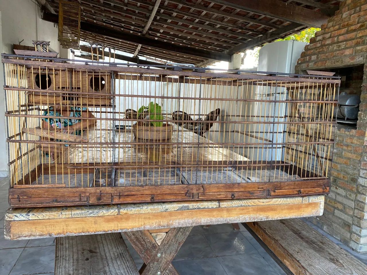 Viveiro grande rústico  - Foto 6