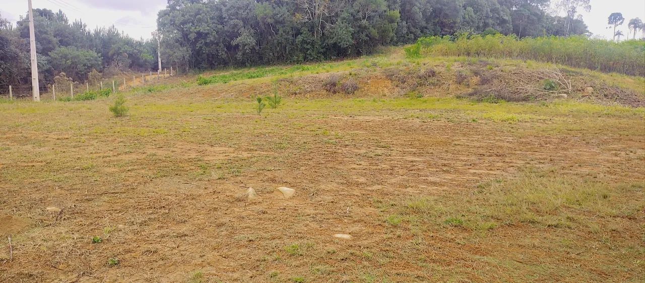Terreno 10.000m2