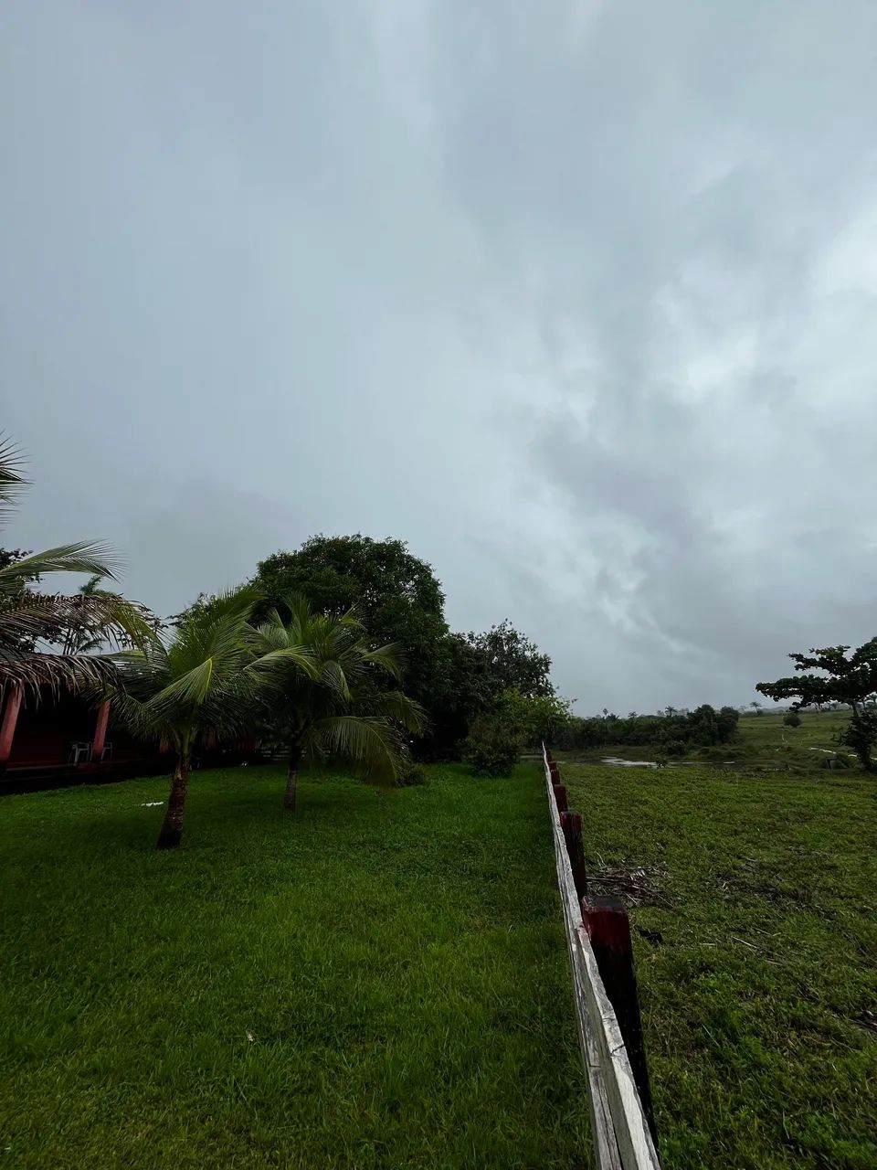 Fazenda à venda  - Foto 2