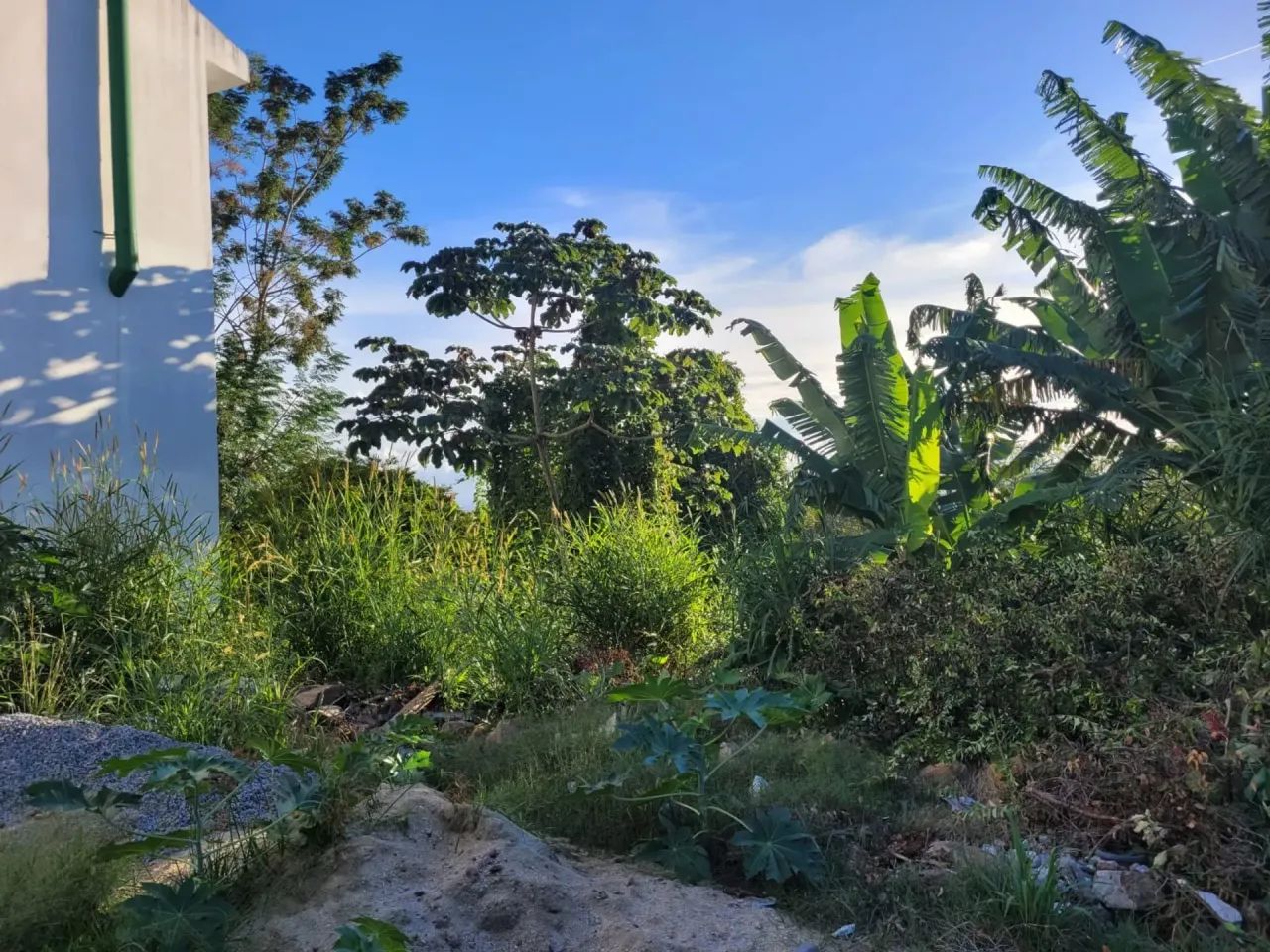 Terreno localizado na Agronômica com vista mar - Florianópolis - SC - Foto 4