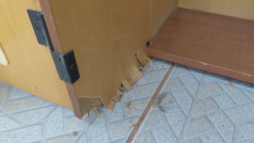 antiguidade máquina de costura - Foto 3