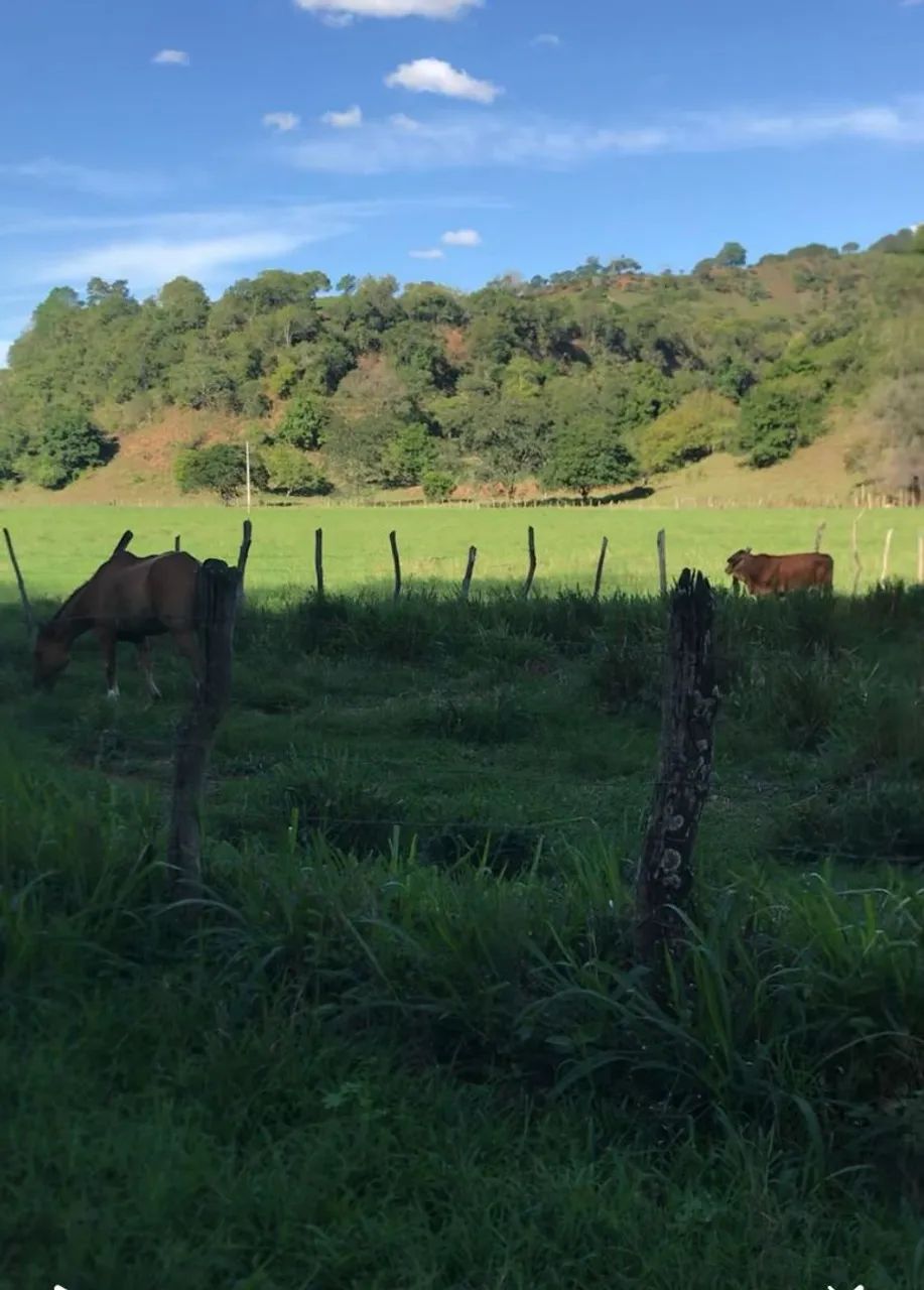 FAZENDA - Credito Rural a partir de R$50mil + Parcelas