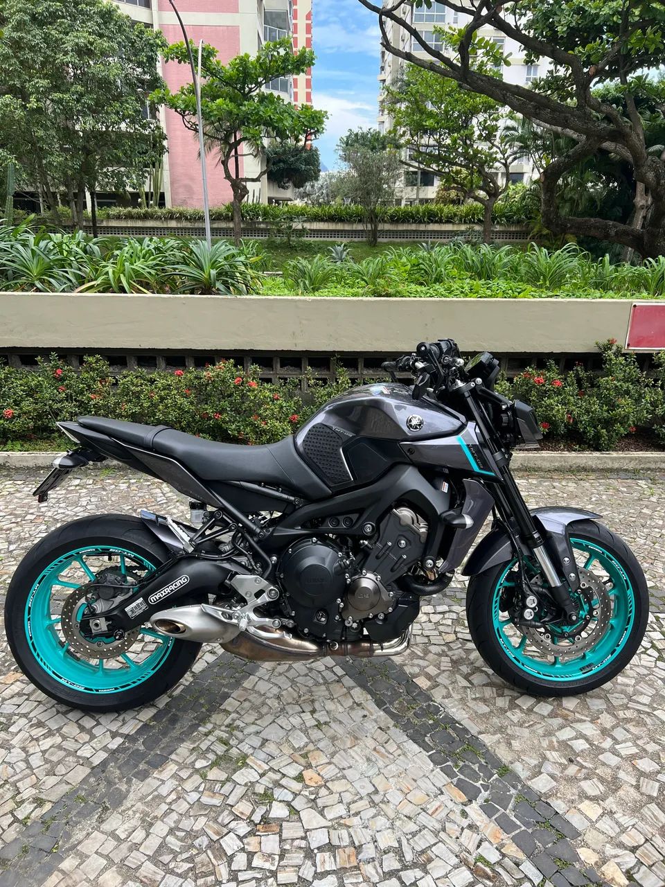 Mt 09 2025