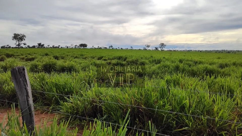 Zona Rural - Coxim MS - Foto 2