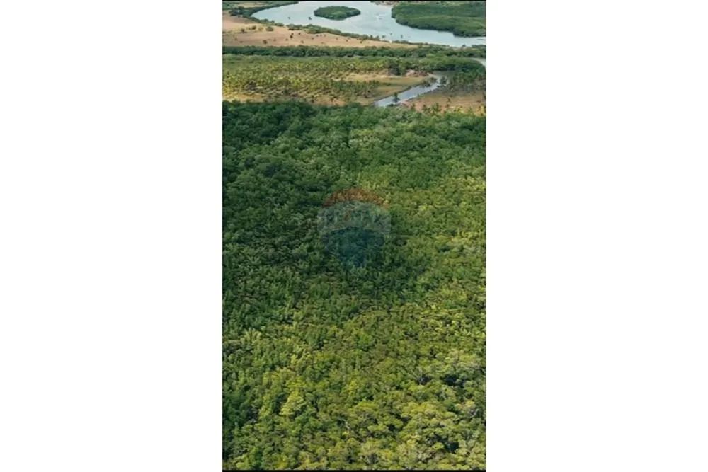 Área em Marechal Deodoro no Povoado Mucuri. - Foto 5