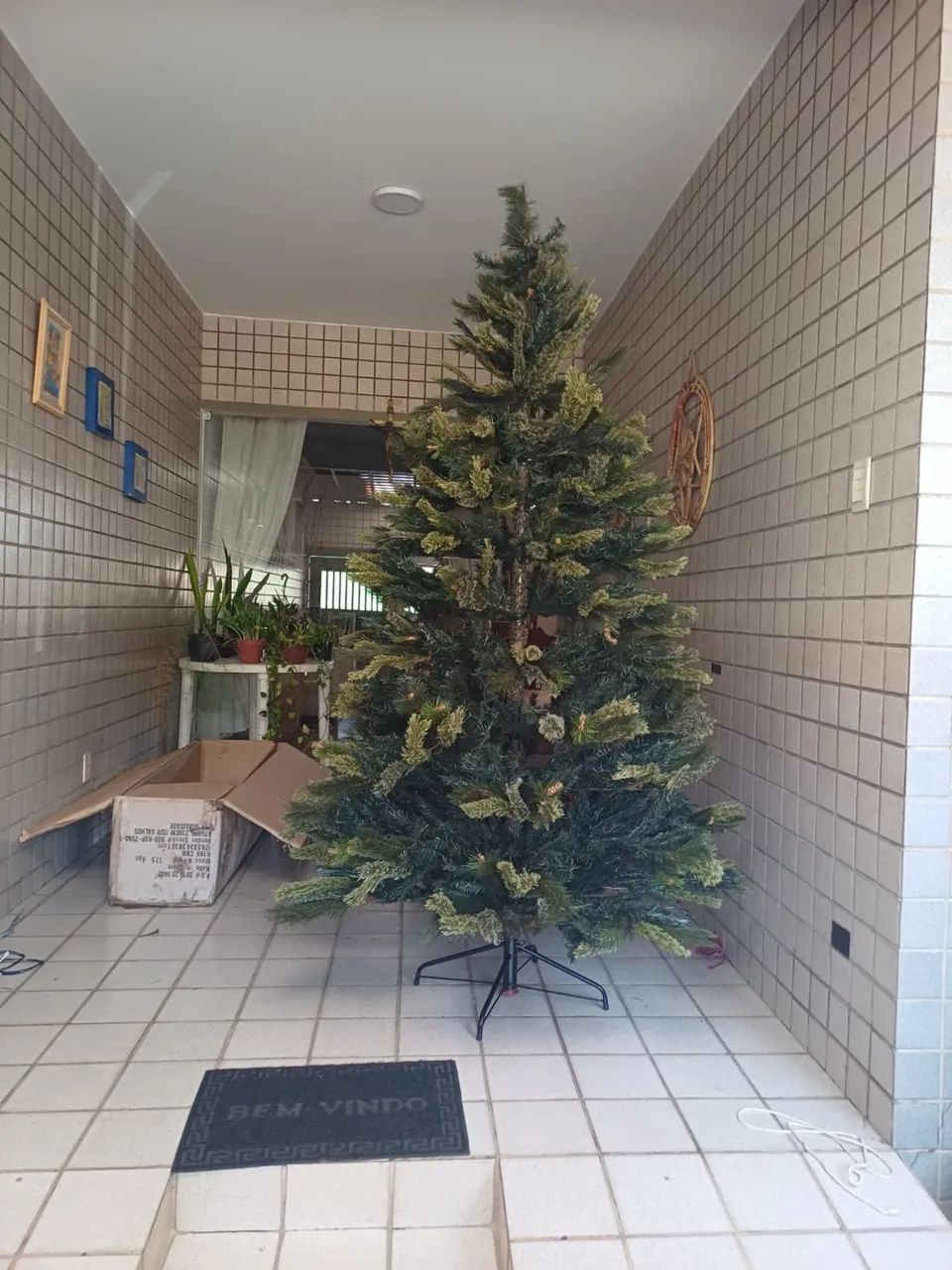 Árvore de Natal 