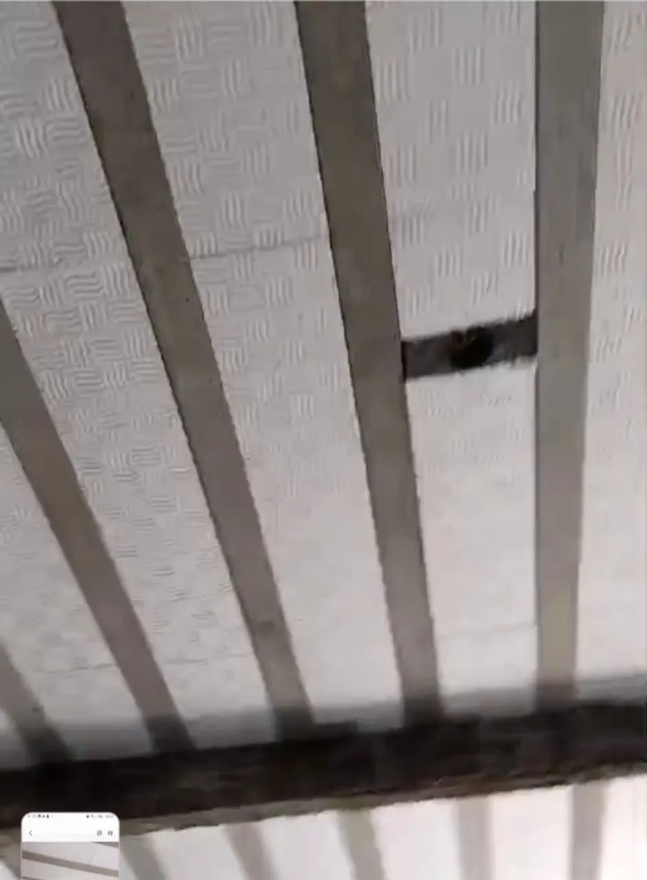 Foto - Cariacica - Nova Campo Grande