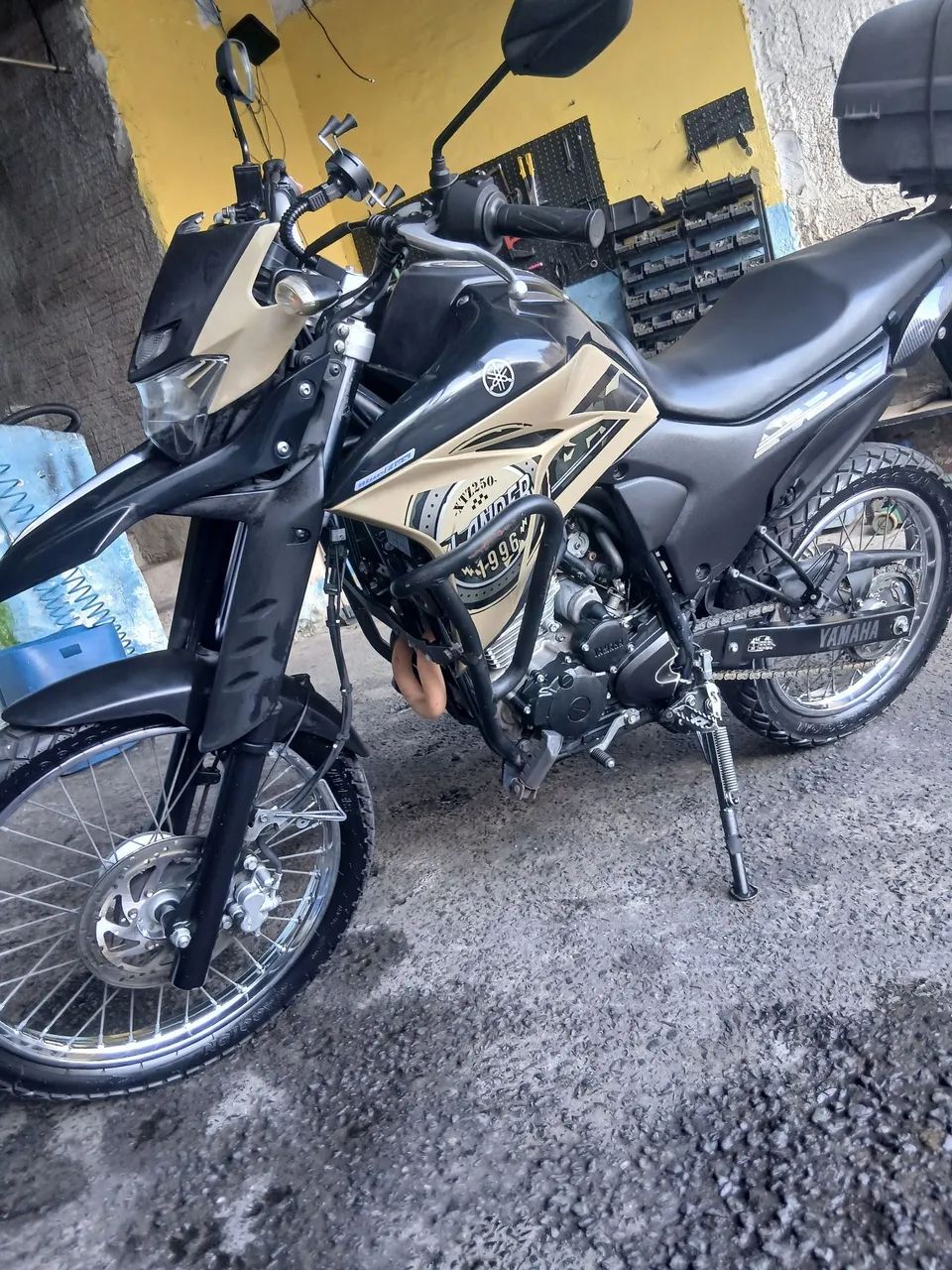 Lander Bege 2021