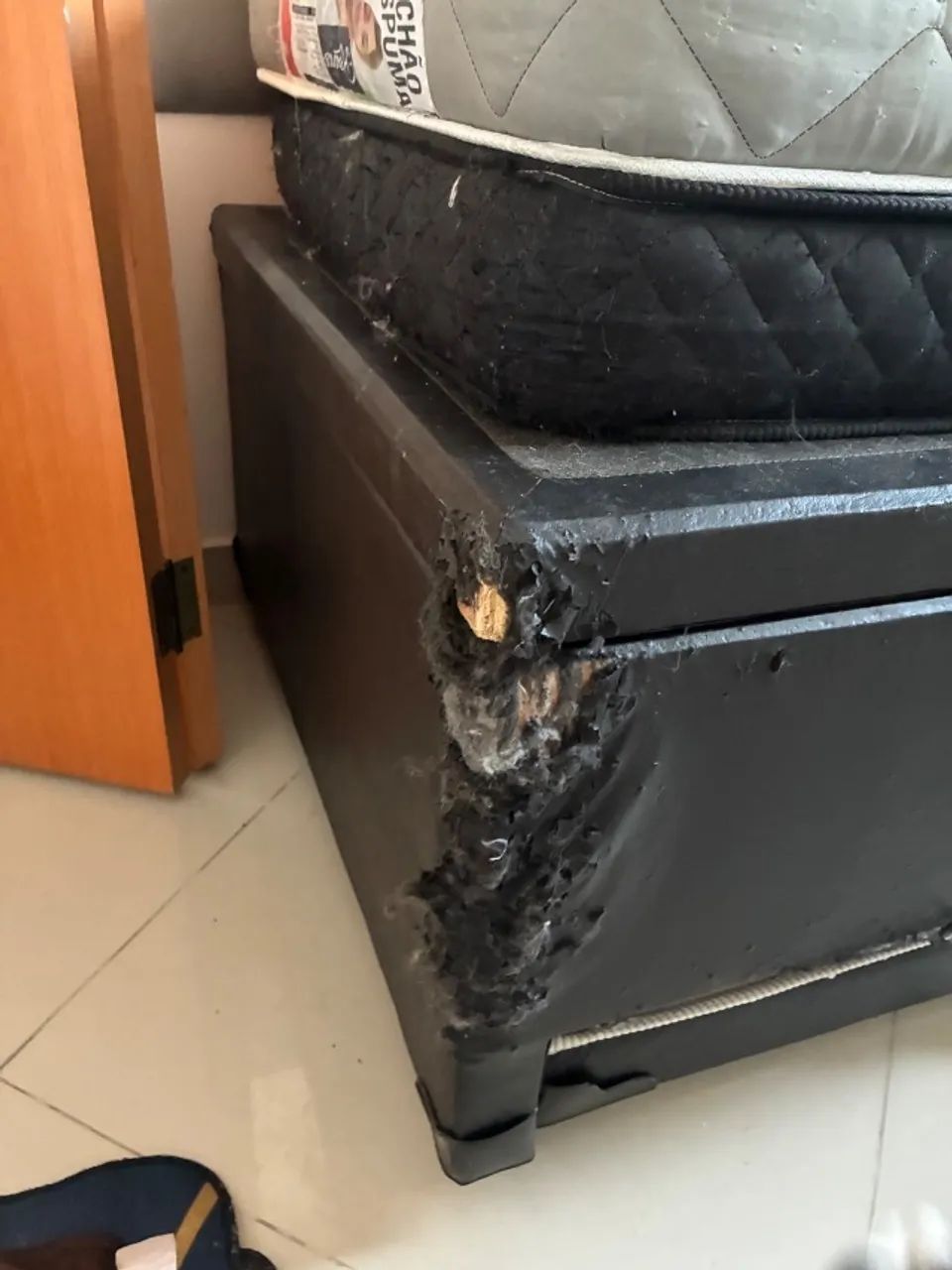 Bicama Solteiro com Cama Auxiliar  - Foto 3