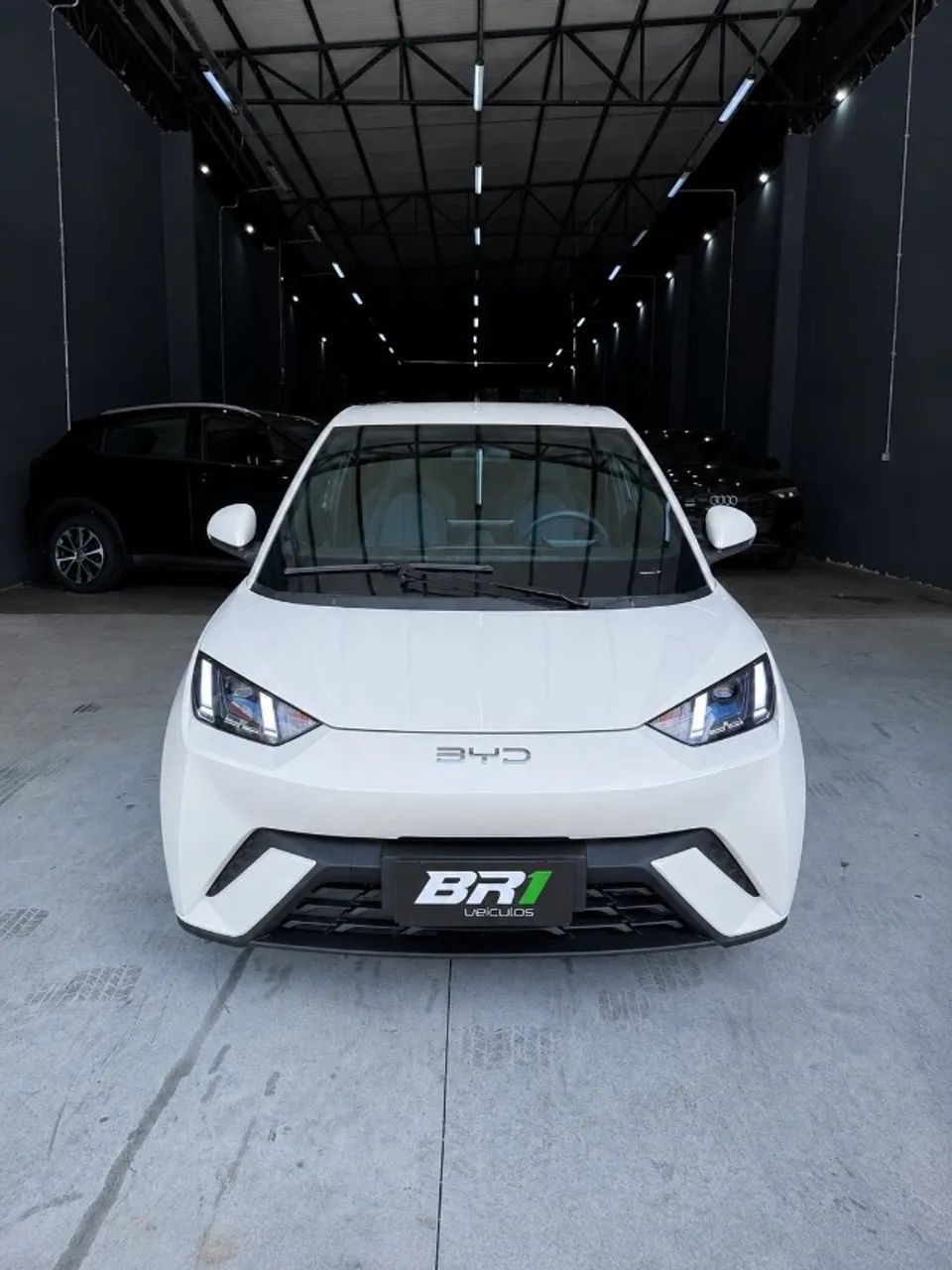 BYD Dolphin Mini (Elétrico) 2025