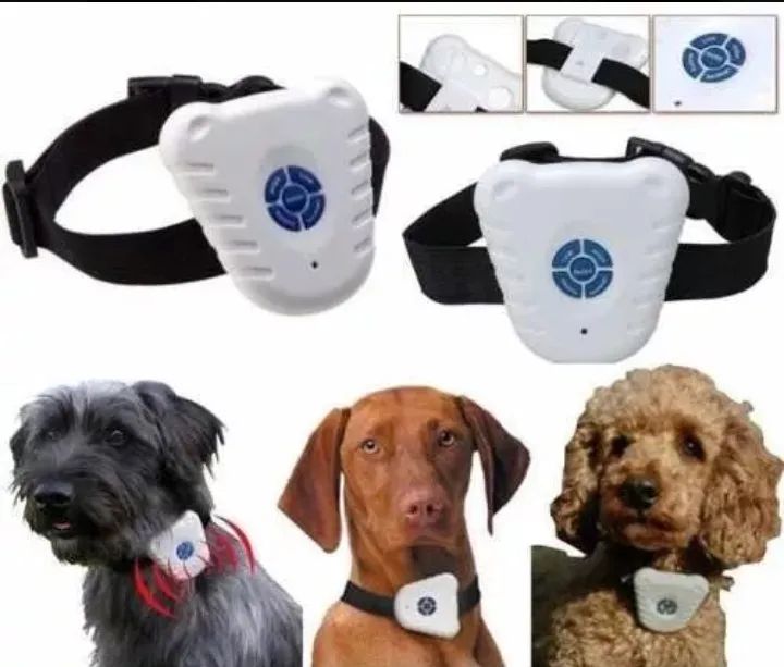 Coleira adestradora pra Pet promoção  - Foto 4