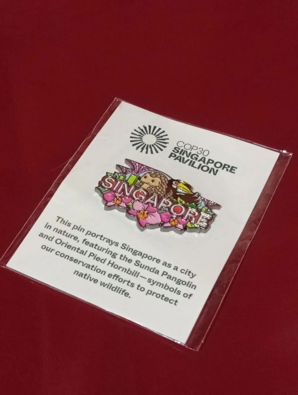 Pin Singapura COP30 Exclusivo Lacrado