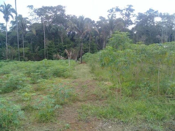 Excelente área / terreno 4,5 hectares Chapada dos Guimarães MT