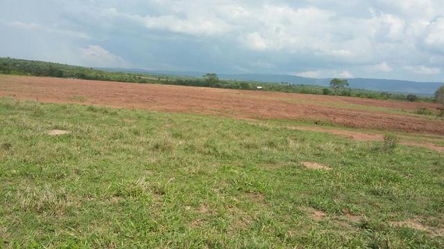 Fazenda 3288 ha terra Rosario Oeste MT braquearia 2020 cab boi R$ 6 mil reais p ha - Foto 7