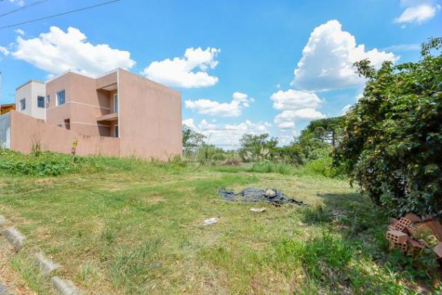 Terreno à venda em Aristocrata, São josé dos pinhais cod:146143 - Foto 2