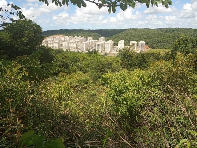 Vendo excelente área com 7.8 Hectáres em São Lourenço da Mata / PE - Foto 3