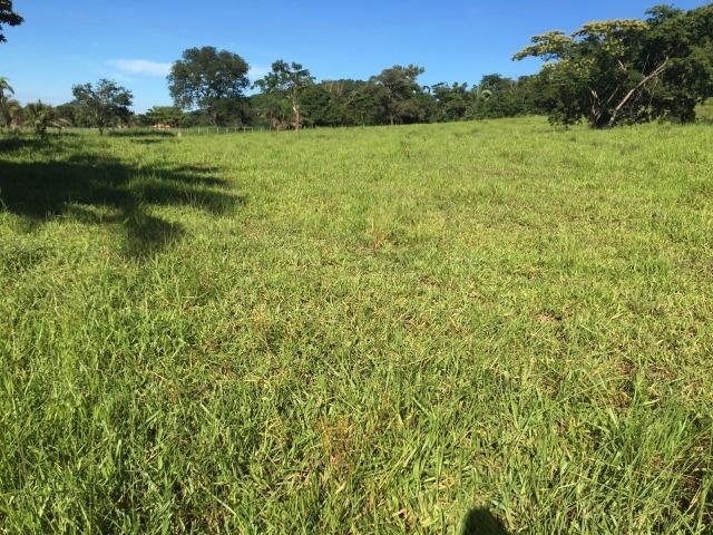 Fazenda para Pecuária a 4 km da BR 364 - Foto 11