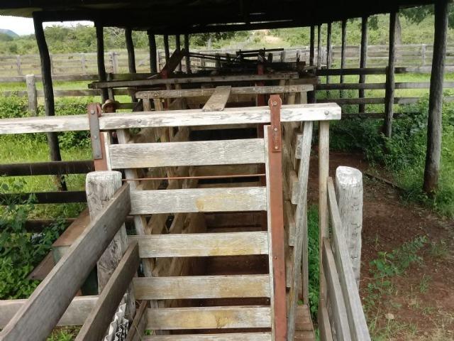 Fazenda para Pecuária 1.940 hectares na Estrada do Manso 50 km Cuiabá - Foto 2