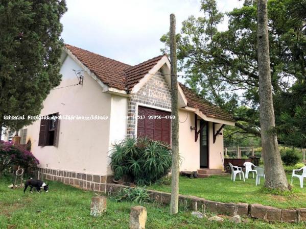 Fazenda para venda em encruzilhada do sul, interior - Foto 11