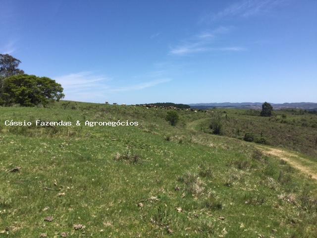 Fazenda para venda, interior - Foto 4