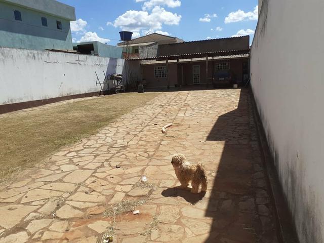 Excelente lote Rua 3