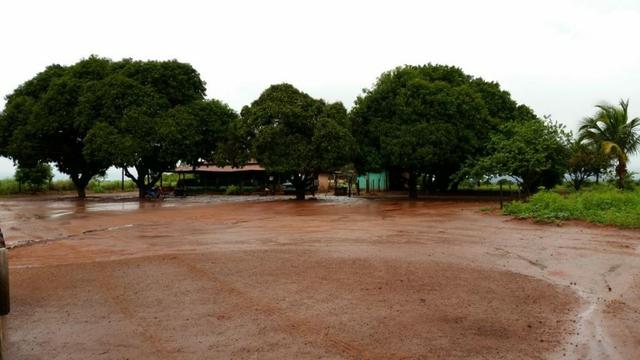 Fazenda 663 Alqueires região Porangatu Goias - Foto 15
