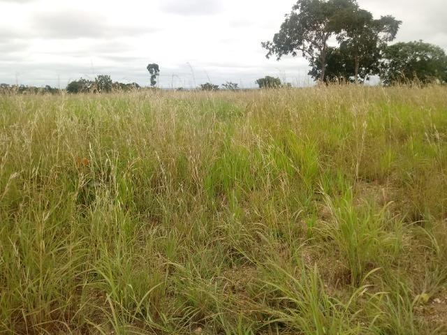 Fazenda para Pecuária em Livramento - Foto 8