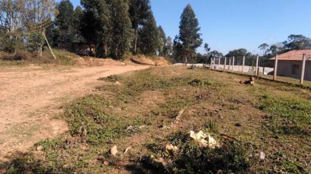 Chácara à venda em Contenda, São josé dos pinhais cod:1823956 - Foto 8