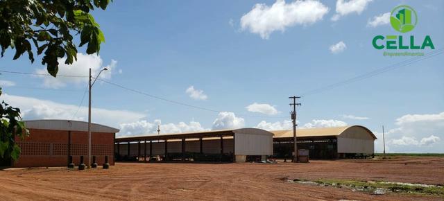 Fazenda / 14.600 ha (3.016 Alq.) / Buriticupu / Maranhão - Foto 4