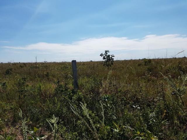 Fazenda à venda, permuta 14520000 m² por R$ 6.000.000 - Zona Rural - Pontes e Lacerda/MT - Foto 2