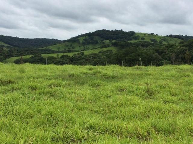 Fazenda rural à venda em Roncador - PR - 52 alqueires. - Foto 16