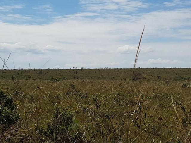 Fazenda à venda, permuta 14520000 m² por R$ 6.000.000 - Zona Rural - Pontes e Lacerda/MT - Foto 3
