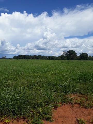 Fazenda 663 Alqueires região Porangatu Goias - Foto 11