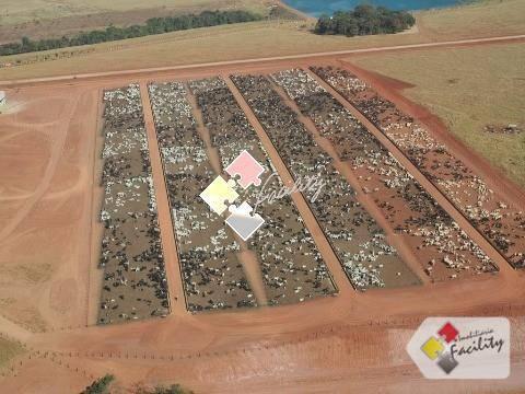 Fazenda rural à venda, centro norte, cuiabá - . - Foto 6
