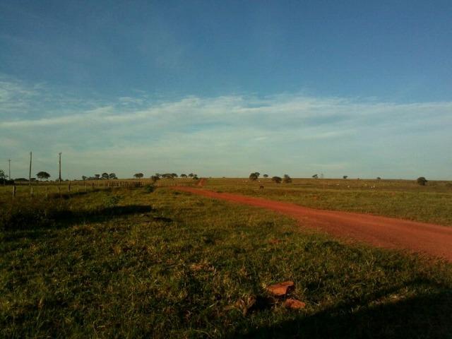 Fazenda 2.520 Alqueires - Foto 14
