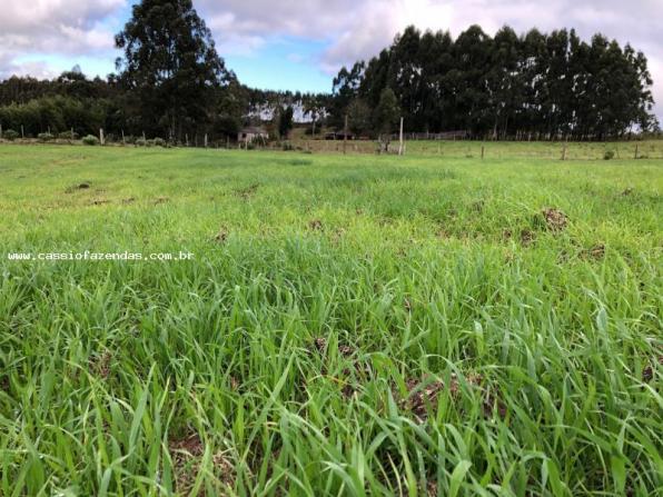 Fazenda para venda em encantado, interior - Foto 9