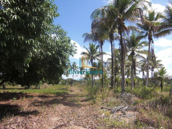 Área à venda, 900000 m² por r$ 3.000.000 - 7km do centro de porto seguro - porto seguro/ba - Foto 13