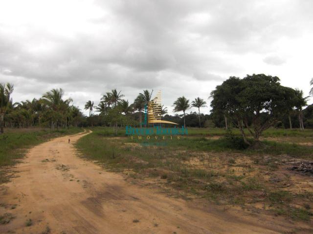 Área à venda, 900000 m² por r$ 3.000.000 - 7km do centro de porto seguro - porto seguro/ba - Foto 4