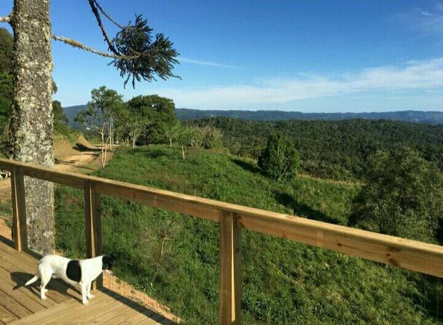 Chácara Localizada em Goiânia - Foto 6