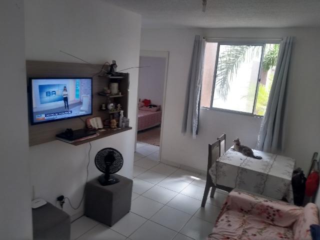Apartamento - Foto 5