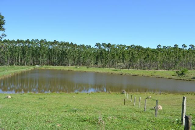 Sorocaba Região Fazenda 190 Alqueires - Foto 3