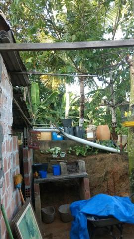 Vendo casa com terreno - Foto 6