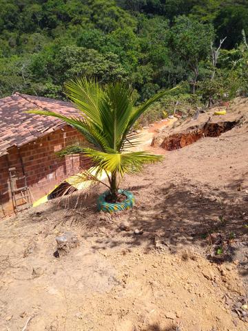 Vende_se sítio em Moreno - Foto 2