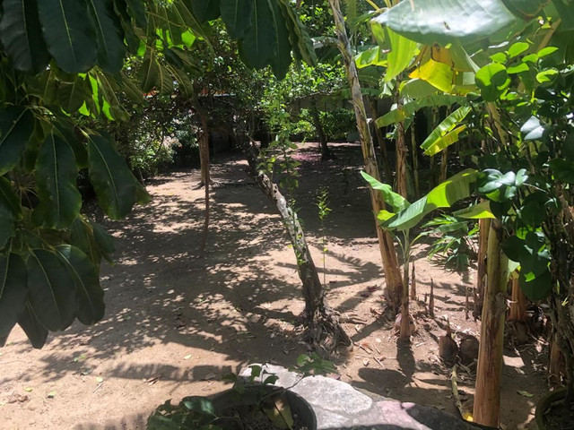 Casa a beira mar no bairro Amba- Itamaracá -Pe - Foto 5